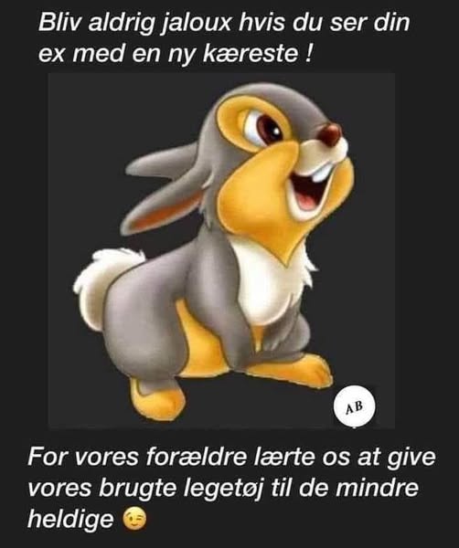 500430076 1226646069463070 340913433393805195 n